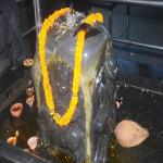 Vraj-Yatra-2014- (2816)